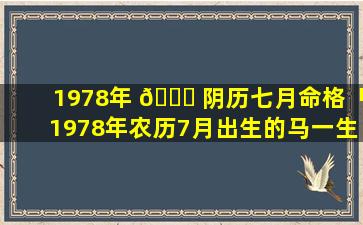 1978年 🍀 阴历七月命格「1978年农历7月出生的马一生命 🌸 运」